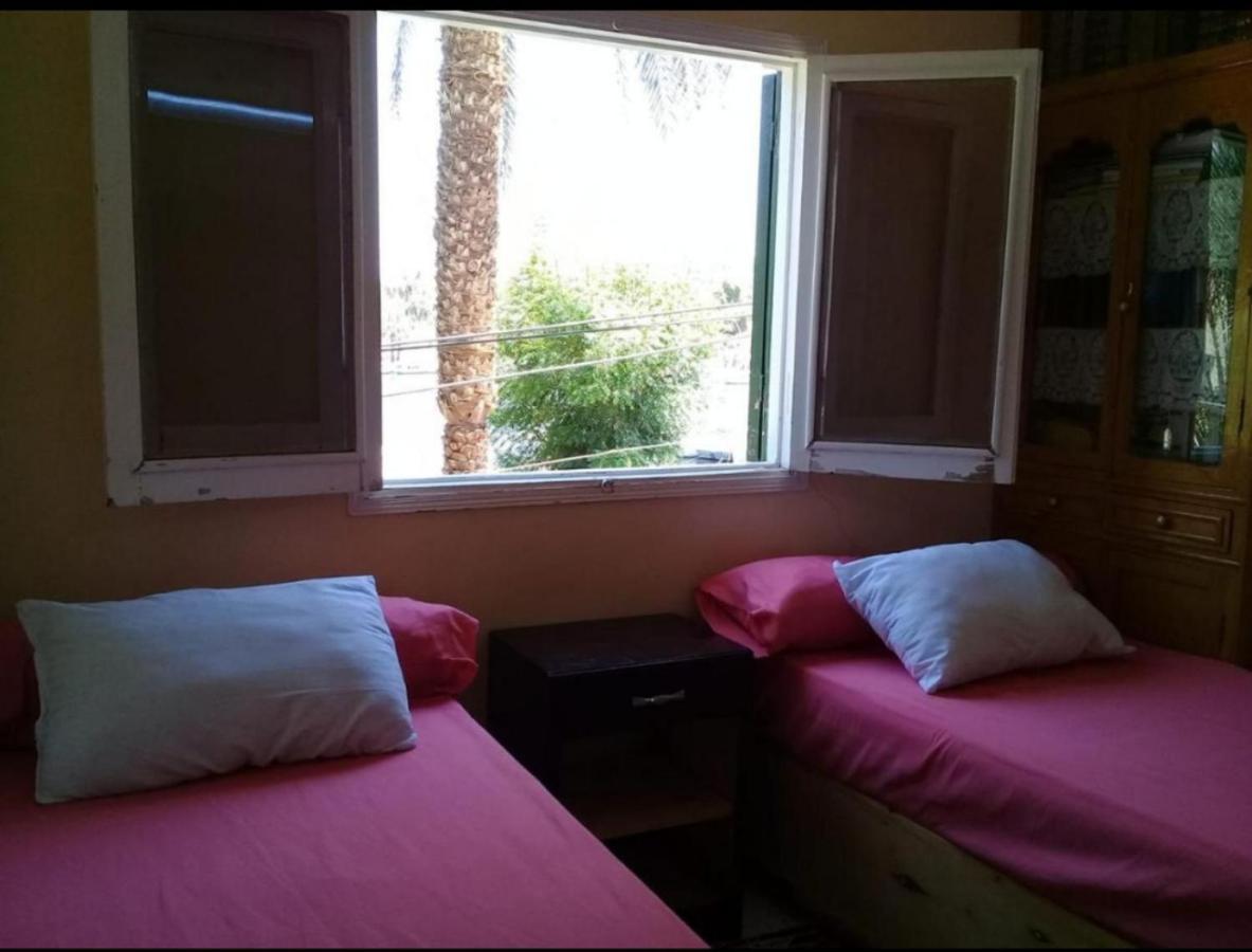 Hotel Mastonkel à Assouan Extérieur photo
